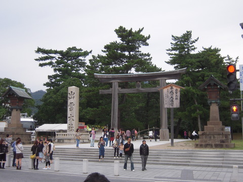 DSCN3503