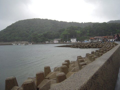 DSCN3529
