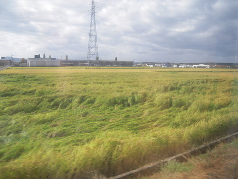 DSCN3558