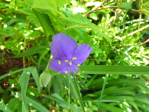 P1080460