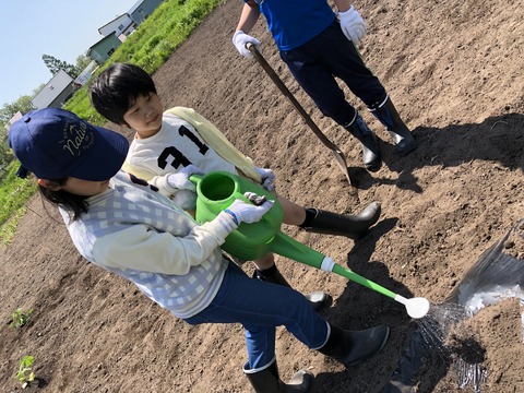 写真 2019-05-25 10 55 43