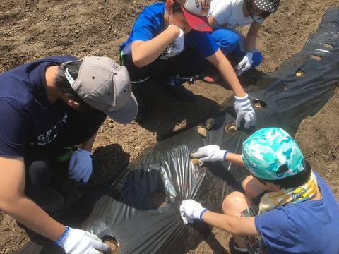 写真 2019-05-25 10 41 55