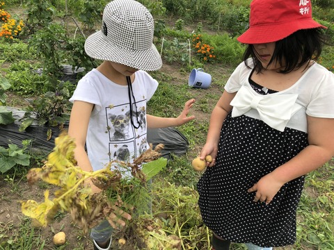 写真 2018-08-08 14 55 29