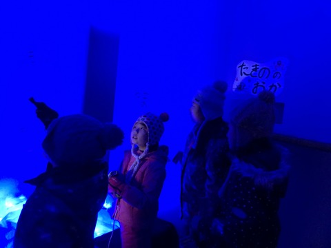 写真 2019-01-11 13 52 27