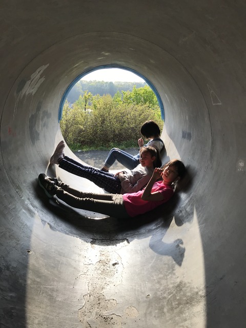 写真 2019-05-16 16 36 36