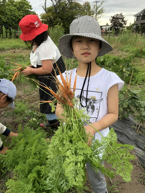 写真 2018-08-08 15 01 46