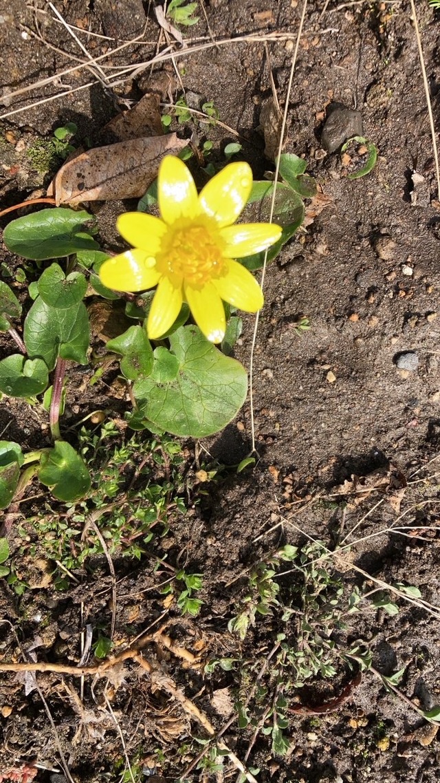 Qjkclkw Hj04m Qjkclkw Hj04m