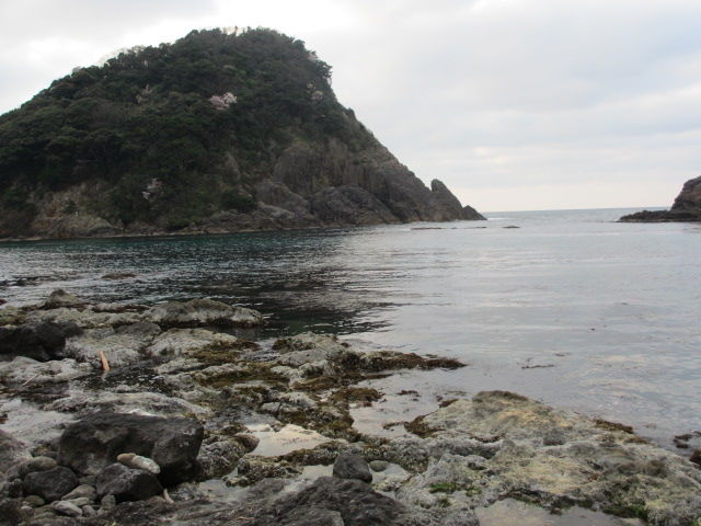 臨海荘 兵庫県美方郡香美町香住 ぶんちゃんの日記