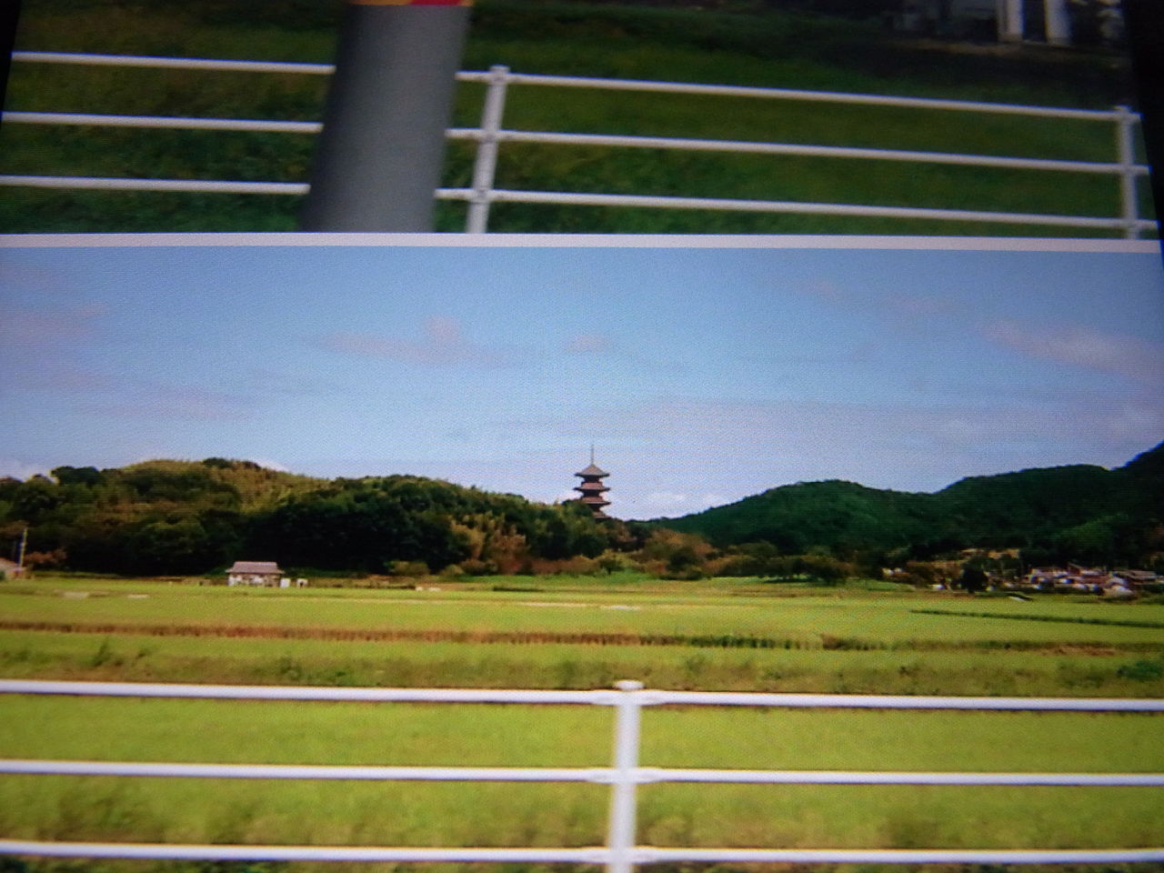 落し水 文ちゃんの更科日記