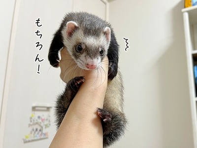 s-IMG_5817