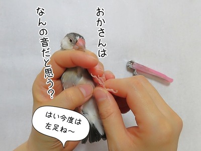 s-IMG_4680