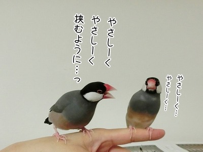 s-CIMG0197