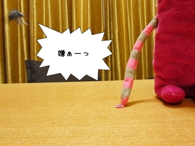 ブンチョ日誌