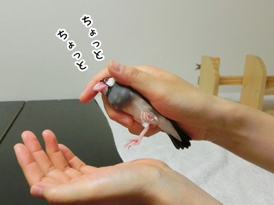 s-CIMG0138