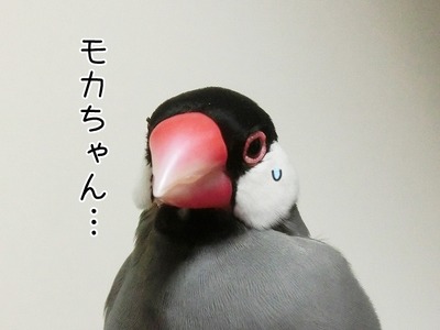 s-CIMG4782