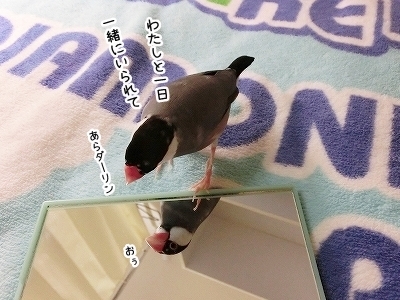 ブンチョ日誌