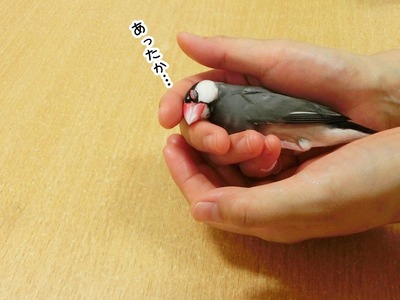 s-CIMG5735