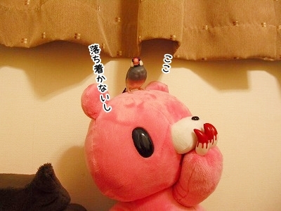 ブンチョ日誌
