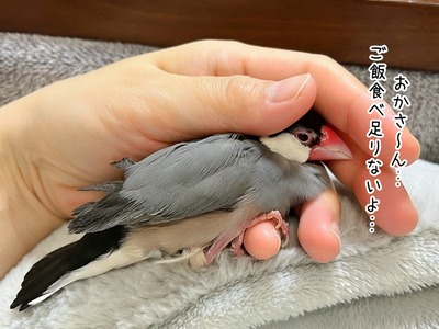 s-IMG_4708
