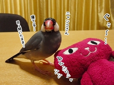 ブンチョ日誌