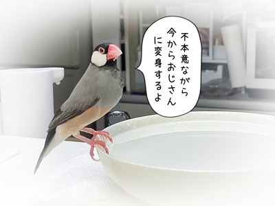 s-IMG_1299