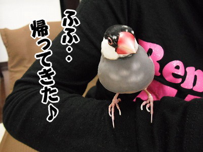 ブンチョ日誌