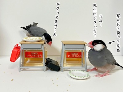 s-IMG_7229