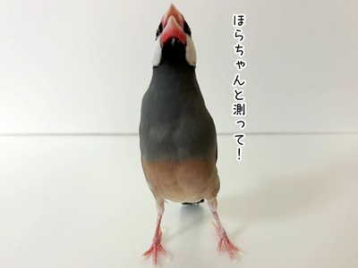 63392c40