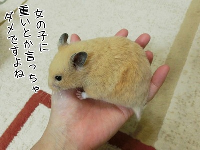 s-CIMG0771