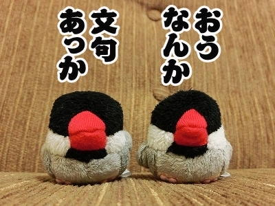 ブンチョ日誌