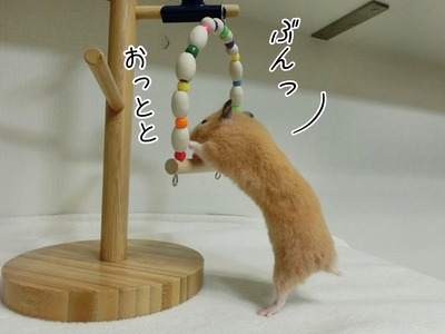 s-CIMG0353