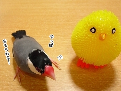 ブンチョ日誌