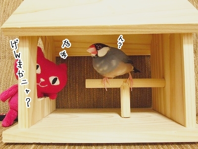ブンチョ日誌