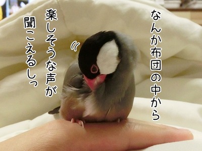 s-CIMG7484
