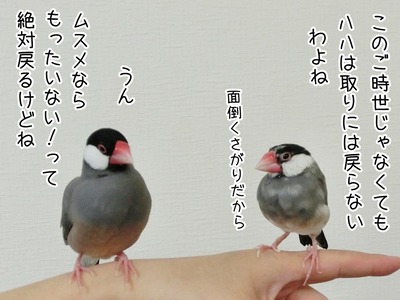 s-CIMG7977