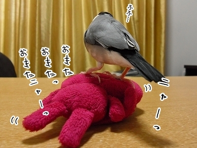 ブンチョ日誌