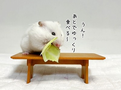 s-IMG_7647