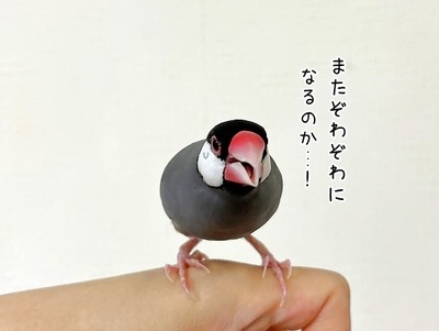 s-IMG_6245