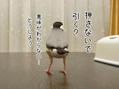 s-CIMG5886