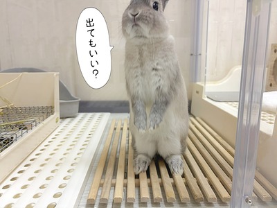 IMG_6925