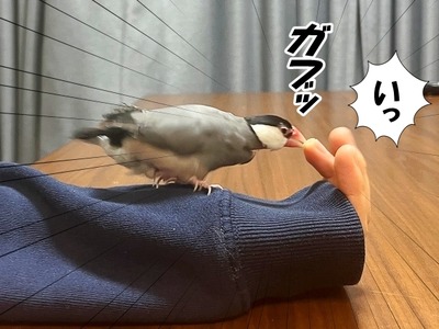 16
