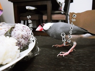 ブンチョ日誌