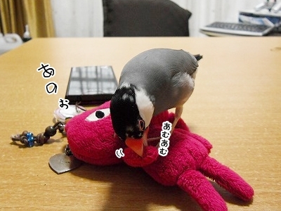 ブンチョ日誌