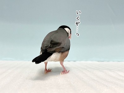 ６