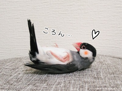 s-IMG_6407