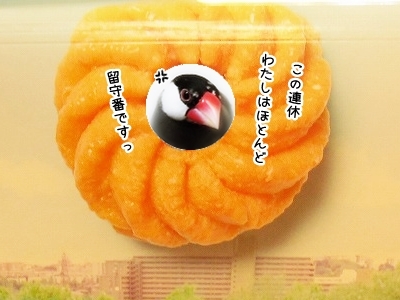 ブンチョ日誌