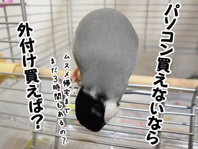 ブンチョ日誌