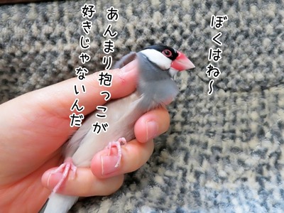 s-IMG_0222