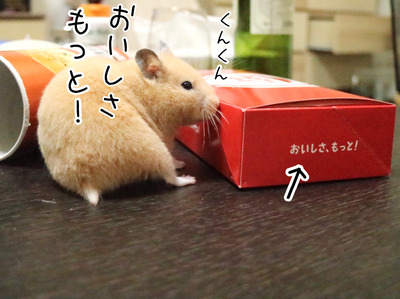 DECCF277-A70B-4809-83A4-B1DCC713DF03