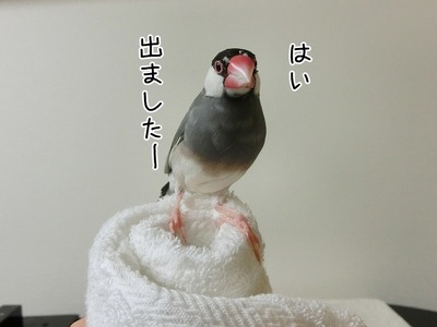 s-CIMG1037